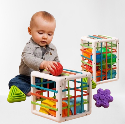 Baby's First Educational Blocks