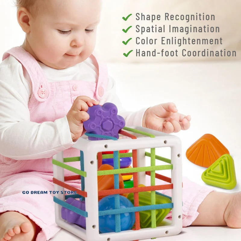 Baby's First Educational Blocks