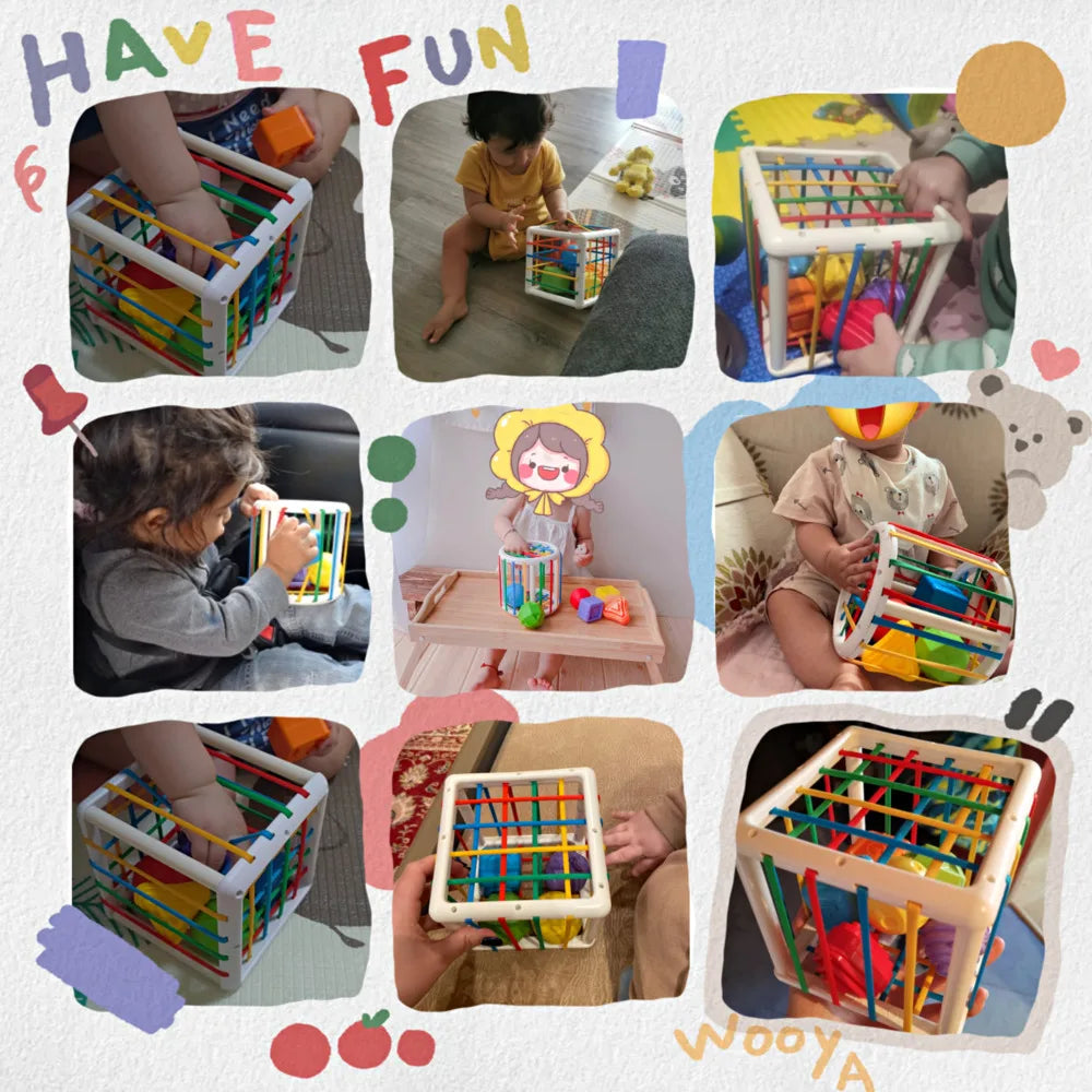 Baby's First Educational Blocks